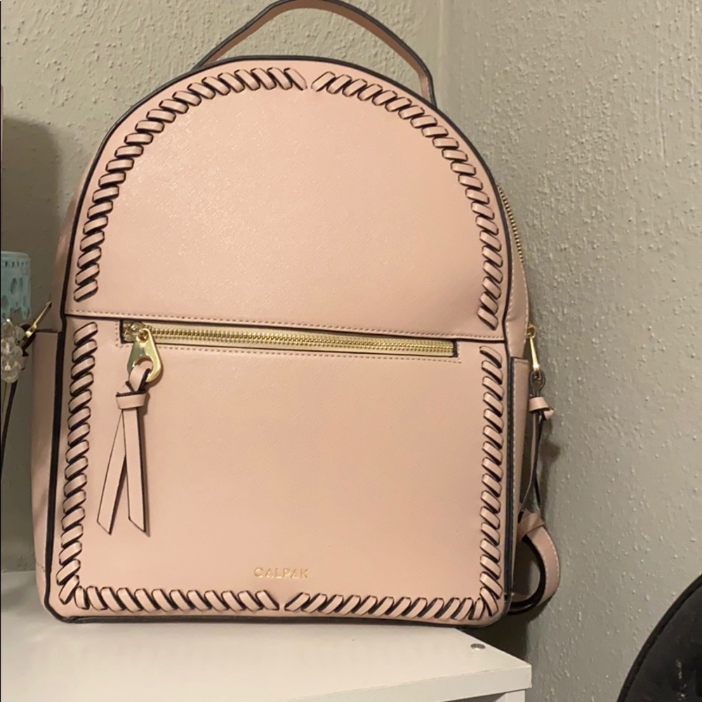 CALPAK Backpack